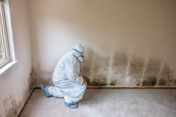 Water Damage Restoration in Swainsboro, GA