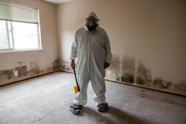 Best Mold Testing  in Swainsboro, GA