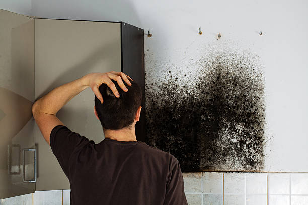 Best Professional Mold Removal  in Swainsboro, GA